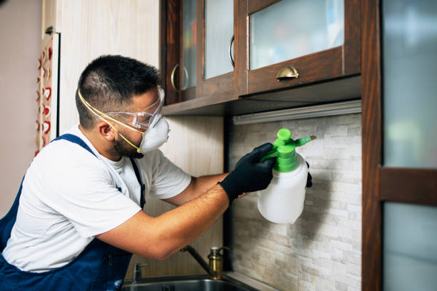 Wasp Removal Services in Fayetteville, WV
