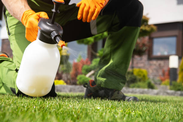 Best Pest Prevention Services  in Fayetteville, WV