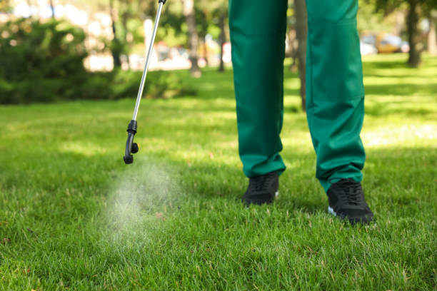 Best Mosquito Control Services  in Fayetteville, WV