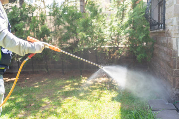 Best Rat Extermination Near Me  in Fayetteville, WV