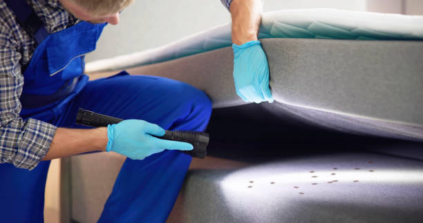 Best Rat Extermination Near Me  in Fayetteville, WV