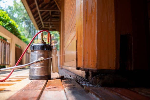 Best Affordable Pest Control Services  in Fayetteville, WV