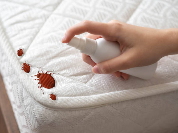 Best Pest Control for Businesses  in Fayetteville, WV