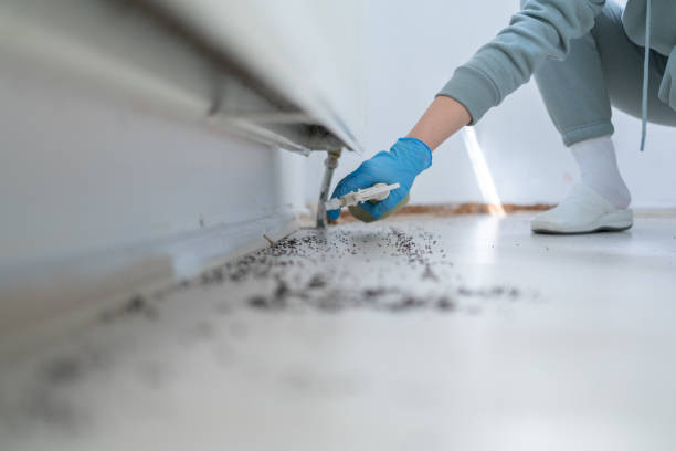 Best Pest Control for Homes  in Fayetteville, WV