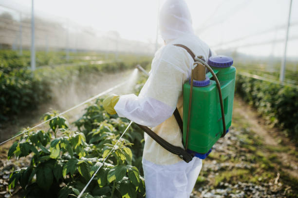 Pest Prevention Services in Fayetteville, WV